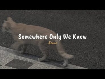 Keane  Somewhere Only We Know (speed up, reverb + lyrics)