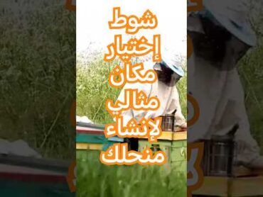 شروط إختيار مكان مثالي لإنشاء منحلك النحل bee تربية النحل beekeeper