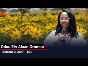 Oduu Etv Afaan Oromoo, Fulbaana 2, 2017  1:00