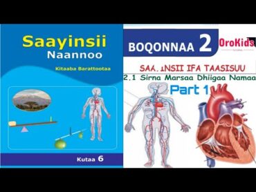 Saayinsii naannoo kutaa 6ffaa Boqonnaa 2 Saayinsii Ifa Taasisuu part 1