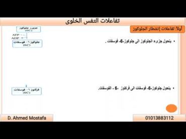 تانية ثانوى التنفس الخلوى انشطار الجلوكوز