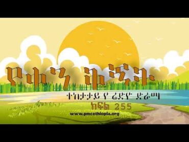 የቀን ቅኝት ክፍል 255