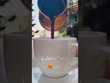 فلينا وباقي بعينينا أشواق وحكي