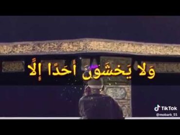 نغمه الدكتور عبد الفتاح الطاروطي روعه 🤍❤️