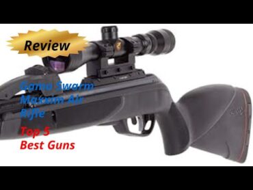 Review Gamo Swarm Maxxim Air Rifle  Top 5 Best Guns 2024