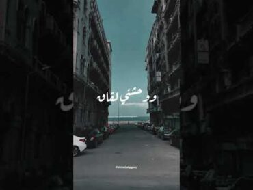 حالة واتس "فين لياليك ".🖤