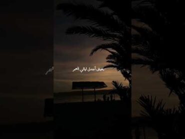 تصميم سكت