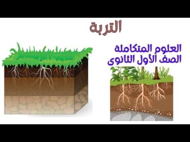 التربة  شرح تركيب التربة وأهميتها  علوم متكاملة للصف الأول الثانوي  مصر