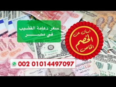 أمراض  ذكورة  سعر دعامة القضيب  العضو الذكري في مصر