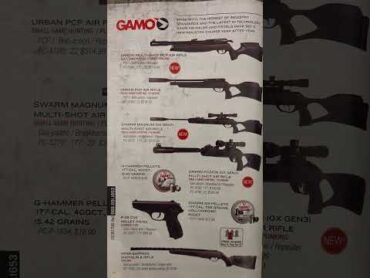 ***African American Airgun Association Magazine Today&39;s Focus is on GAMO