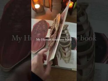 Human body book