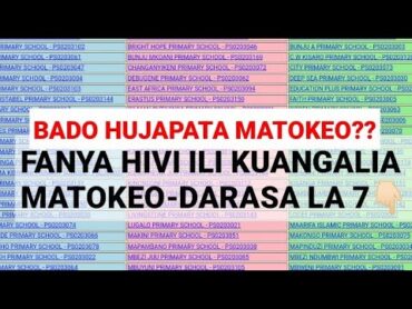 ANGALIA HAPA MATOKEO YA DARASA LA SABA 2023/2024