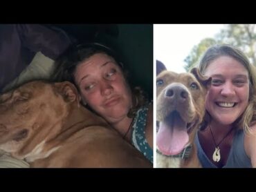 Woman Wakes Up Next to Strange Dog in Bed