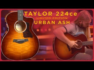 Great looks and tone to match! Taylor 224ce Limited Edition Urban Ash