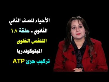 الأحياء للصف الثاني الثانوي { 18 } التنفس الخلوى ـ الميتوكوندريا ـ تركيب جزئ الـ ATP