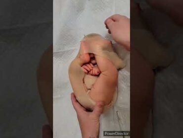 Womb Baby  How Babies Are Born