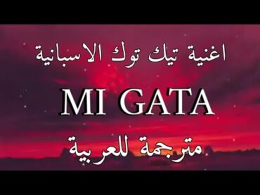 اغنية تيك توك الاسبانية +18 toma tussi mi gata   مترجمة للعربية standly Lyrics