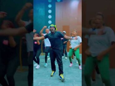 Alikiba & Dully Sykes  ZALI (Short Video)