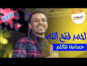 حمامة تتكلم  .. البندول احمد فتح الله  Ahmed Fathallah 🎵ليالي البروف🎵 حمامه تتكلم ( مصطفي مضوي)