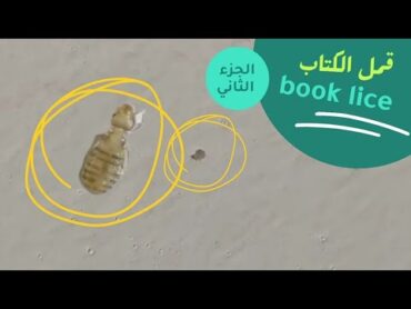 قمل الكتاب او الكتب  book lice وطرق التخلص منها بكل سهولة