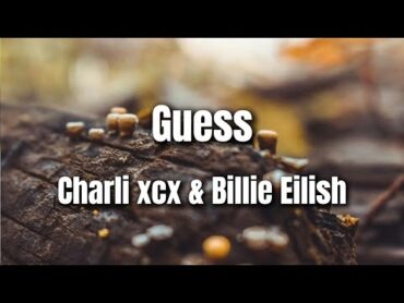 Charli xcx & Billie Eilish &39;  GUESS  featuring Billie Eilish&39;  Lyrics