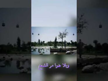 ودوني حيدر علي علي الدلفي