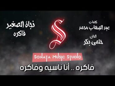 فاكرة  نجاة الصغير  كاريوكى موسيقى بالكلمات  Karaoky With Lyrics