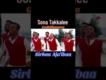 Artist Sona Tekele Sirba bareedaa akka ajaa&39;ibaa Arat kiiloo  Ethiopian oromic new music of 2024.