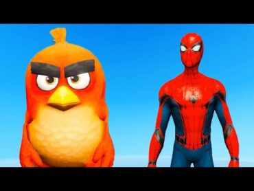 GTA 5 Water Ragdolls Colored Spiderman VS Angry Birds (Euphoria Physics Fails and Funny Moments)