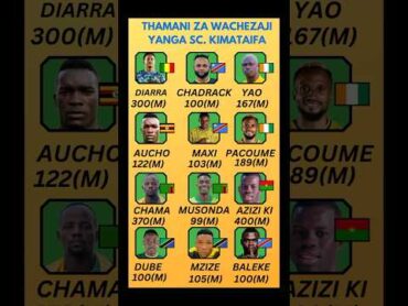 Thamani Za Wachezaji YangaSc 2024/2025 yanga yangatv yangascmedia simbasc simbasctanzania nbc