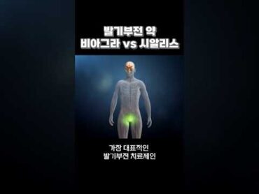 빨리? 많이? 발기부전 약 비아그라 vs 시알리스