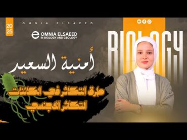 شرح طرق التكاثر في الكائنات الحية الصف الثالث الثانوي 2025