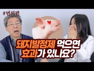 돼지발정제, 효과가 있나요? [베닥 건강상담]