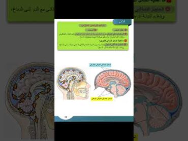 التراكيب التي تحمي الدماغ من كتاب العلوم للصف الثالث الثانوي  المنهاج السوري