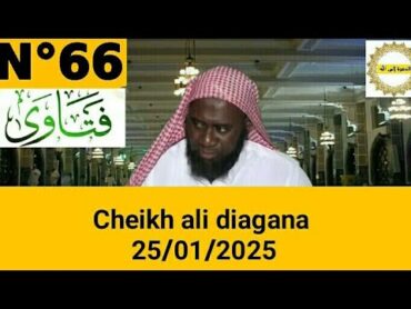 Cheikh ali diagana 25/01/2025 سؤال وجواب