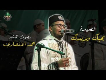 بحبك وبريدك واتمنى أبوس إيدك ياجد الحسنين  إنشاد أحمد الأنصاري  حفل ساقية الصاوي 7 يوليو 2021