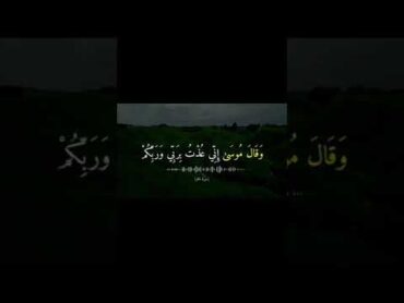 وقال فرعون .من سورة غافر  القارئ خالد الجليل 🥰 حالات quran قران قرآن قرآن كريم تلاوات خاشعة