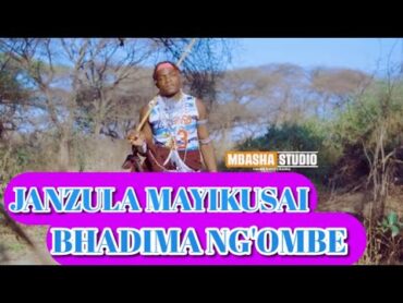 JANZULA MAYIKUSAI   BHADIMANG&39;OMBE 2025 NYIMBO MPYA 2025 kisukumanyimbompya2025viralvideo