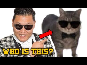 Oppa Uia Style X OIIA CAT (Ft. El Gato &39;PSY&39; Gangnam Style)