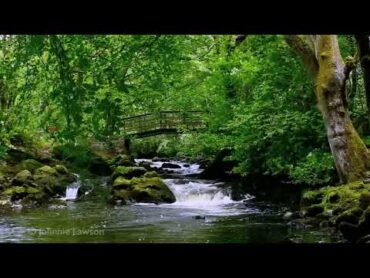 Relaxing Nature Sounds for Sleeping  Natural Calm Forest Waterfall Music Meditation Sound for Study