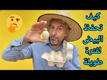 الطريقة الصحيحة لحفظ بيض الدجاج المخصب لفترات طويلة 🐣🐥🐓