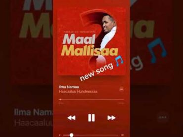 Hachalu Hundessa–Ilma Namaa New Album Vol3–New Ethiopian Oromo Music 2021