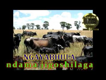 NGAYABHULA  UJUMBE WA NDAMA JIGUSHILAGA  BY LWENGE STUDIO 2023