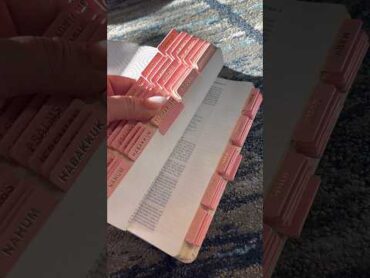 unboxing my new Bible & Bible tabs! 🤩 christiancontent christiancommunity bible amazonhaul