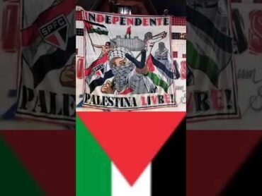 التراس نادي ساوباولو البرازيلي يدعم فلسطين 🇵🇸