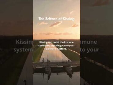 Science of kissing 💋💋❤️ shorts kiss love girlfriends