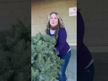 Karen tried to steal my Christmas Tree… (final part) shorts