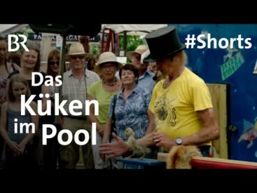 Shorts Küken rutscht in den Pool  Zirkus „Liberta“  Haustiere  Schwaben & Altbayern  BR