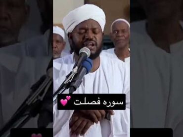 حم كتاب تنزيل من الرحمن الرحيم كتاب فُصلت نورين محمد صديق 💕Norren Mohamed Siddiq ❤️Quran recitation