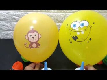 Blowing Up Lots of Balloons Animal vs Spongebob Balloon ASMR Relaxing